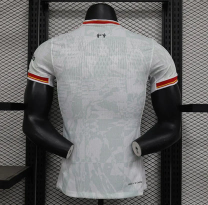 Liverpool 24-25 Third Kit